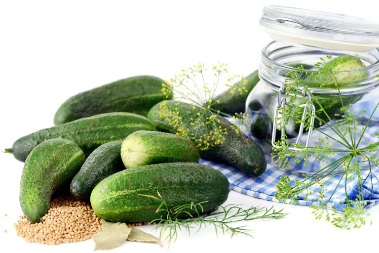 Cucumbers ready to be canned as pickles